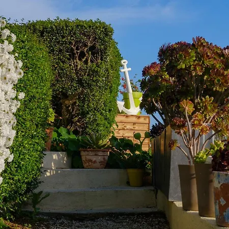 Absolument Levant Daire Île du Levant