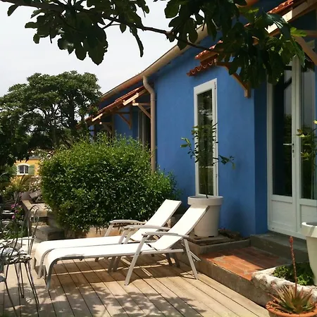 Absolument Levant * Île du Levant