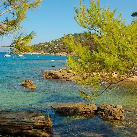 Διαμέρισμα Absolument Levant