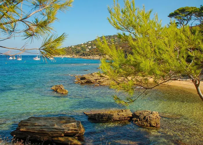 アパート Absolument Levant