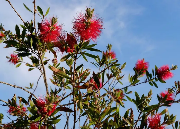 アパート Absolument Levant *