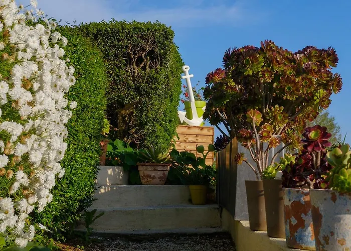 Absolument Levant アパート Île du Levant